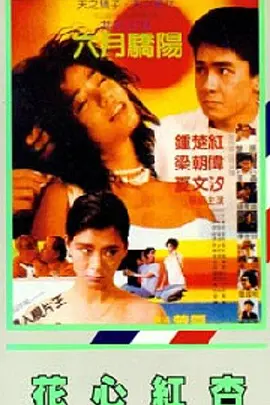 家中的萌妻夫人
